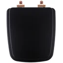 Ver imagem 1 de Assento Sanitário Poliéster Soft Close Boss Onix (Preto Fosco) para Vaso Incepa com Ferragem Rose