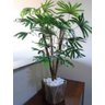 Planta Rafia Permanente Ornamental 100 cm com tronco natural - 2