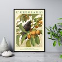 Ver imagem 2 de Quadro Passarinho Preto com Frutos 45x34cm - com Vidro:moldura Branca