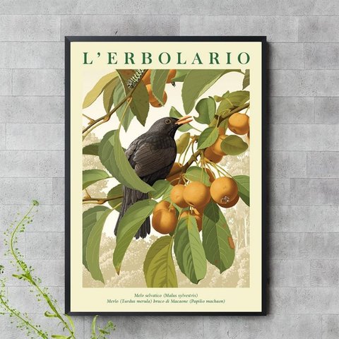 Quadro Passarinho Preto com Frutos 45x34cm - com Vidro:moldura Branca