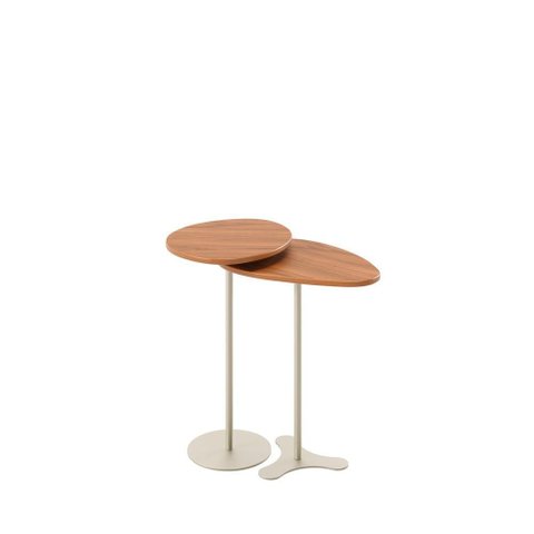 Kit 2 Mesas Laterais Orgânica Botanic - Canella C/ Champanhe