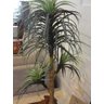Planta Artificial YUCCA PATA DE ELEFANTE 1,55 metros de altura - 5
