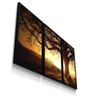 Kit 3 Quadro Decorativo Paisagem Arvore Luz Sol Parque Galho - 1