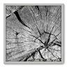 Quadro Decorativo Tronco N4037 70cm x 70cm - 1