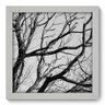 Quadro Decorativo Galhos N1014 22cm x 22cm - 1