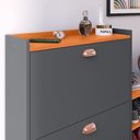 Ver imagem 4 de Sapateira Organizadora Quarto Closet Hall de Entrada Banco 2 Portas Basculantes Puxador Concha Milan