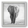 Quadro Decorativo Elefante N1002 22cm x 22cm - 1