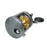 Carretilha Shimano Tekota 800 (Direita) - 3