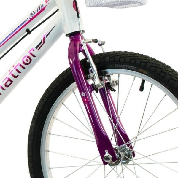 Bicicleta Infantil Aro 20 Feminino Lilás Nathor - 2