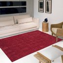 Ver imagem 1 de Tapete Luxo Pelo Super Macio Casa Dona Vermelho 100x150cm