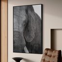 Ver imagem 1 de Quadro Decorativo a Face do Elefante em Moldura Caixa Tacolado Moldura Trad 1cm Madeira Escura sem V