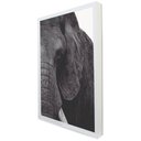 Ver imagem 2 de Quadro Decorativo a Face do Elefante em Moldura Caixa Tacolado Moldura Trad 1cm Madeira Escura sem V