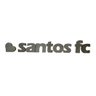 Letra Decorativa Concreto Nome Palavra Santos fc Coração - 1