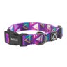 Coleira Cachorro Memphis Bellbold - 1