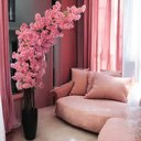 Ver imagem 1 de Arvore Grande Flores de Cerejeira Curvada 2 Metros