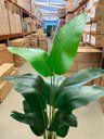 Ver imagem 6 de Bananeira Planta Artificial Permanente Real Toque 1.60m, Planta Decorativa para Casa e Eventos.