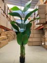Ver imagem 4 de Bananeira Planta Artificial Permanente Real Toque 1.60m, Planta Decorativa para Casa e Eventos.