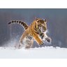 Papel De Parede Animais Tigre Correndo Neve Anm231 - 2