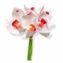 Ver imagem 1 de Buque Orquidea Cymbidium - Mix Rose 31cm