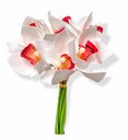 Ver imagem 1 de Buque Orquidea Cymbidium - Mix Rose 31cm