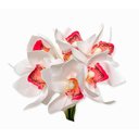 Ver imagem 2 de Buque Orquidea Cymbidium - Mix Rose 31cm