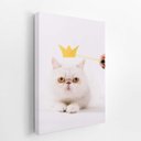 Ver imagem 2 de Gato Peludo Branco Coroa Pets Animais Quadro Canvas 140x90cm
