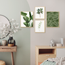 Kit 4 Quadros Decorativos Verde Natureza Folhagem Plantas - 3