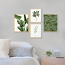 Kit 4 Quadros Decorativos Verde Natureza Folhagem Plantas - 2