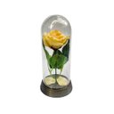 Ver imagem 1 de Linda Redoma com Rosa Branca , Inspirada na a Rosa Encantada do Filme a a Bela e a Fera e do o - Ama