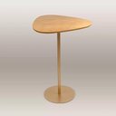 Ver imagem 1 de Mesa Lateral Orgânica Up Tampo Cinamono e Metal Dourado 52 Cm