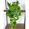 Planta Pendente Artificial Jiboia 50cm Vaso Cerâmica Preto - 1