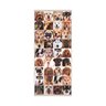 Adesivo Decorativo Porta Várias Raças Cachorros Pet Shop - 1