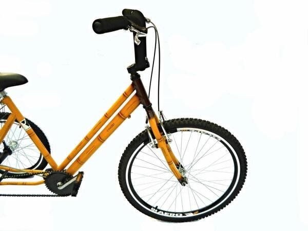 Triciclo aro 26 Bambu - 3