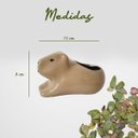 Ver imagem 3 de Vaso Cerâmica Capivara 14x8x8 Cm – Encanto e Originalidade na Sua Decoração