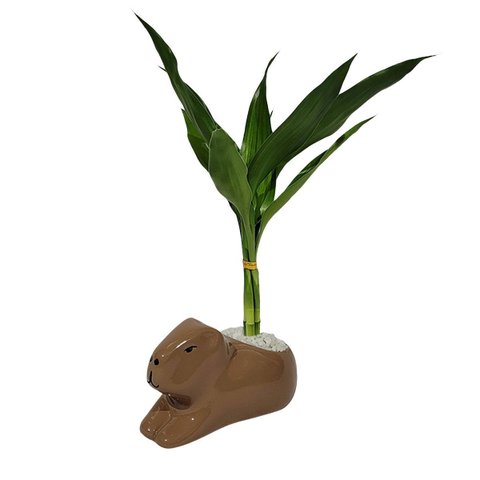 Vaso Cerâmica Capivara 14x8x8 Cm – Encanto e Originalidade na Sua Decoração