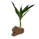 Ver imagem 1 de Vaso Cerâmica Capivara 14x8x8 Cm – Encanto e Originalidade na Sua Decoração