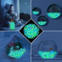 Ver imagem 4 de Kit 50 Pedras Luminosas Fossa e Aquário Jardim Brilha no Escuro:Roxo