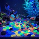 Ver imagem 3 de Kit 50 Pedras Luminosas Fossa e Aquário Jardim Brilha no Escuro:Roxo