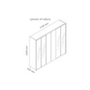 Ver imagem 3 de Guarda-Roupa Casal 6 Portas 4 Portas Reflecta com LED com Pés 100% MDF Splendor Marrom/Marrome/Off White