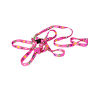 Ver imagem 2 de Conjunto Peitoral Ajustável RBPet com Guia - Cães de Mini Porte