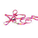 Ver imagem 7 de Conjunto Peitoral Ajustável RBPet com Guia - Cães de Mini Porte