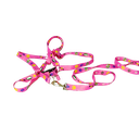 Ver imagem 6 de Conjunto Peitoral Ajustável RBPet com Guia - Cães de Mini Porte