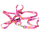 Ver imagem 3 de Conjunto Peitoral Ajustável RBPet com Guia - Cães de Mini Porte