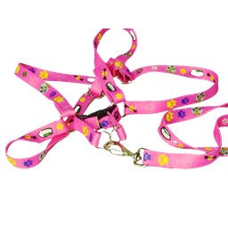 Conjunto Peitoral Ajustável RBPet com Guia - Cães de Mini Porte - 3