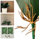 Ver imagem 2 de Folhas de Orquídea com Raiz Artificial 30 Cm Quantidade:30