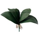 Ver imagem 1 de Folhas de Orquídeas Artificiais para Arranjos Quantidade:5