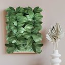 Ver imagem 2 de Folhas de Orquídeas Artificiais para Arranjos Quantidade:3