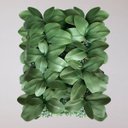 Ver imagem 1 de Folhas de Orquídeas Artificiais para Arranjos Quantidade:3
