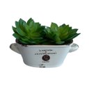 Ver imagem 4 de Suculentas Artificiais Echeveria Quantidade:5