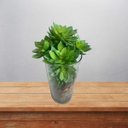 Ver imagem 5 de Suculentas Artificiais Echeveria Quantidade:3